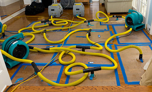 Professional Flood Damage Restoration technician working in White Hall, MD